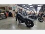 2022 Harley-Davidson Sportster Iron 883 for sale 201409454