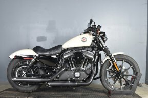2022 Harley-Davidson Sportster Iron 883 for sale 201423507