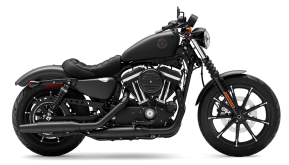 2022 Harley-Davidson Sportster Iron 883 for sale 201439905