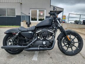 2022 Harley-Davidson Sportster Iron 883 for sale 201457323