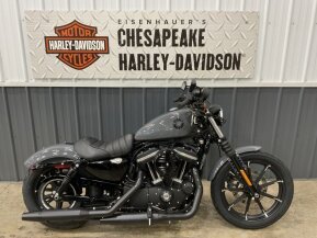 2022 Harley-Davidson Sportster Iron 883 for sale 201610145