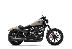 2022 Harley-Davidson Sportster Iron 883 for sale 201626665