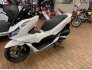 2022 Honda PCX150 ABS for sale 201405504