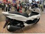 2022 Honda PCX150 ABS for sale 201405504