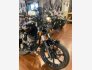 2022 Indian Chief for sale 201407359