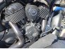 2022 Indian Chieftain Dark Horse for sale 201367582