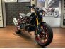 2022 Indian FTR 1200 Limited Edition for sale 201308409