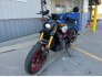 2022 Indian FTR 1200 Limited Edition for sale 201362887