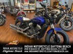 Thumbnail Photo 0 for New 2022 Indian Scout