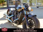 Thumbnail Photo 15 for New 2022 Indian Scout Sixty ABS