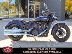 Thumbnail Photo 4 for New 2022 Indian Scout Sixty ABS