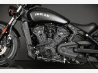 Thumbnail Photo 23 for New 2022 Indian Scout