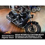 2022 Indian Scout for sale 201328013