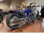 2022 Indian Scout for sale 201352202