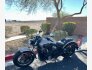 2022 Indian Scout ABS for sale 201368102
