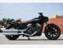 2022 Indian Scout for sale 201410946