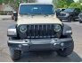 2022 Jeep Wrangler for sale 101735302