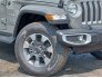 2022 Jeep Wrangler for sale 101784387