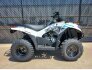 2022 Kawasaki Brute Force 300 for sale 201291506