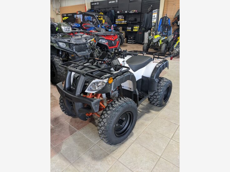 Thumbnail Photo undefined for New 2022 Kayo Bull 150
