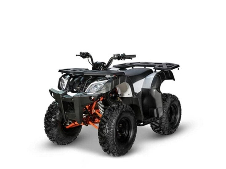 Thumbnail Photo undefined for 2022 Kayo Bull 180