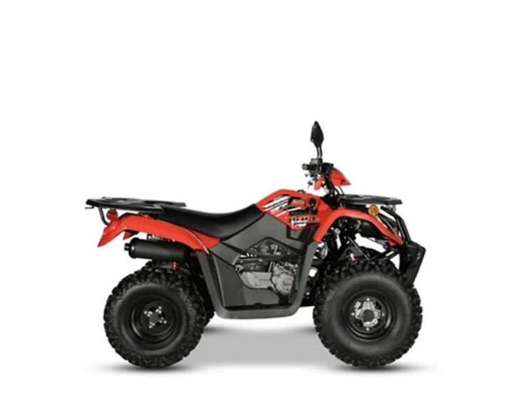 Thumbnail Photo undefined for New 2022 Kayo Bull 200