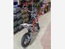 2022 Kayo TT 125 for sale 201203574