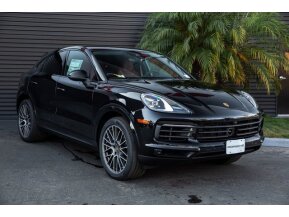 2022 Porsche Cayenne Platinum Edition for sale 101785660