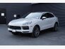 2022 Porsche Cayenne Platinum Edition for sale 101828998