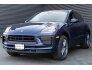 2022 Porsche Macan for sale 101734618