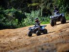 Thumbnail Photo 5 for New 2022 Yamaha Grizzly 90
