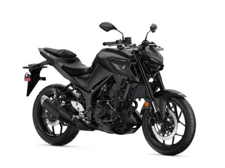 Thumbnail Photo undefined for New 2022 Yamaha MT-03