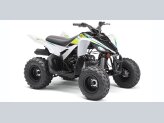 New 2022 Yamaha Raptor 90