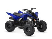 New 2022 Yamaha Raptor 90