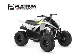 2022 Yamaha Raptor 90 for sale 201326895