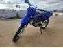 2022 Yamaha TT-R125LE for sale 201388045