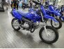 2022 Yamaha TT-R50E for sale 201366389