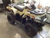 New 2023 Arctic Cat Alterra 300