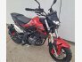 2023 Benelli TNT 135 for sale 201385679