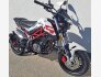 2023 Benelli TNT 135 for sale 201385682