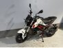 2023 Benelli TNT 135 for sale 201392475