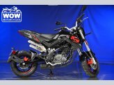 New 2023 Benelli TNT 135