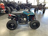 2023 Can-Am Renegade 110 for sale 201435351