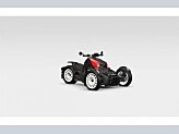 2023 Can-Am Ryker 900 Rally for sale 201438829