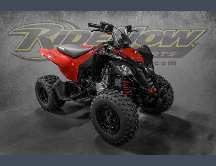 Photo 1 for 2023 Can-Am DS 250