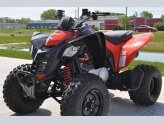 New 2023 Can-Am DS 250