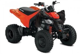 2023 Can-Am DS 250 for sale 201406085