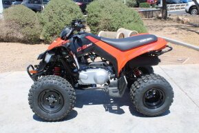 2023 Can-Am DS 250 for sale 201465319