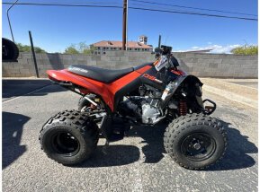 2023 Can-Am DS 250 for sale 201487938