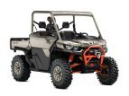 Thumbnail Photo 18 for 2023 Can-Am Defender X mr HD10